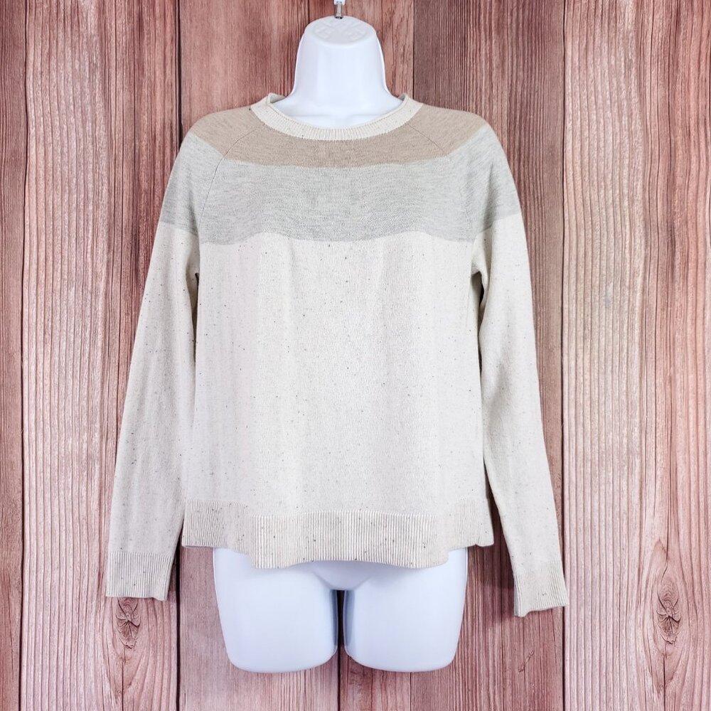 Smartwool Womens Size Small Edgewood Colorblock Crew Sweater Pullover SW016649